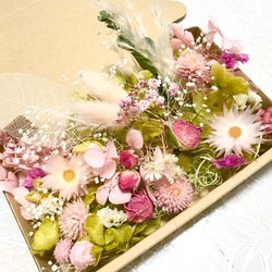 癒しのグリーンピンク＊シャイニーシャイニー♡ハーバリウム花材ドライフラワー 花材セット 1枚目の画像