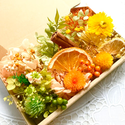 ラムズイヤー*ドライフラワー*70本 その他素材 FlowerCompanies