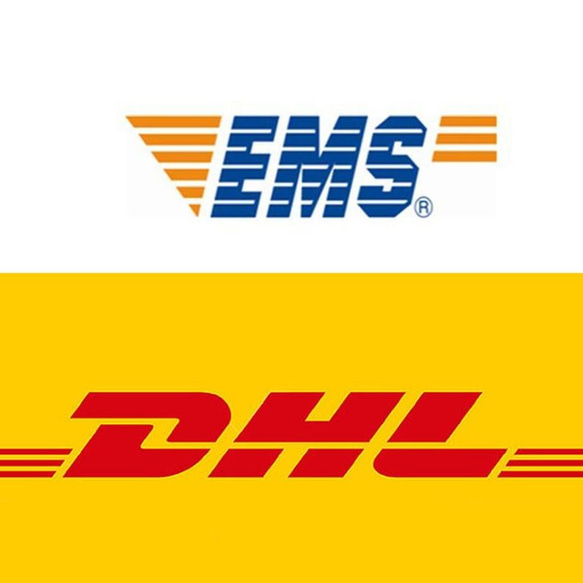 高速サービス、配送アップグレード-DHL / EMS 1枚目の画像