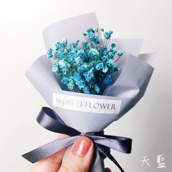 WEIWEI FLOWER/進口乾燥滿天星迷你花束-4色/畢業花束/母親節花束/韓式花束/情人節花束/捧花禮/婚禮小物 第4張的照片