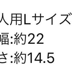 大人用★1枚！送料無料！４重ガーゼ 立体マスク※黒ゴム 2枚目の画像