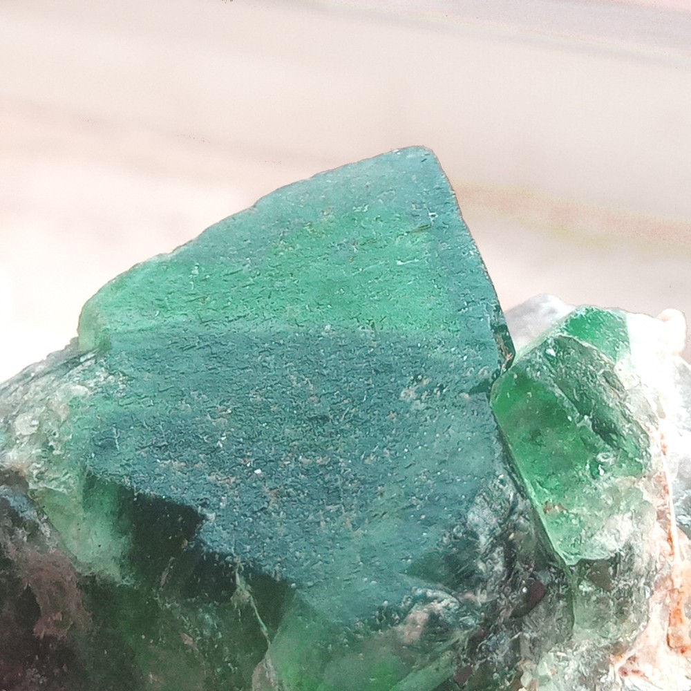 蛍光ﾌﾛｰﾗｲﾄｸﾗｽﾀｰ/t827‐01 2390420201230☆手