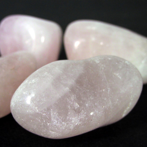 レ4ローズ /ﾛｰｽﾞｸｵｰﾂﾀﾝﾌﾞﾙｽﾄｰﾝ/5pで1pﾌﾟﾚｾﾞﾝﾄ/t003/104460 0916