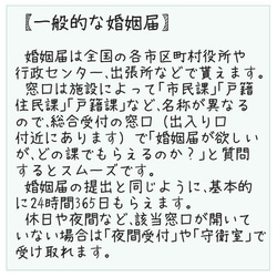 新元号 令和にも対応！役役所提出可能！デザイン婚姻届 3枚セット キュートブーケ 9枚目の画像