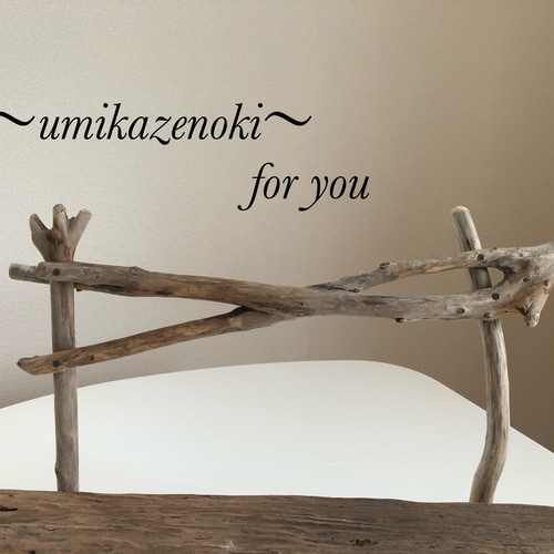 流木の飾り棚希少品