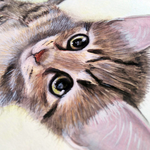 4696猫 ページ　オーダー　手描きイラスト 9eaf84c8bd78811df077dcfb281e98