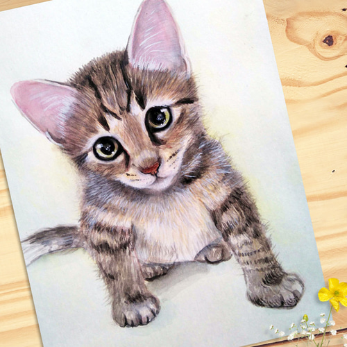 4696猫 ページ　オーダー　手描きイラスト オーダーメイド 色鉛筆画 ハガキサイズ 似顔絵 猫 犬 絵画 かよ