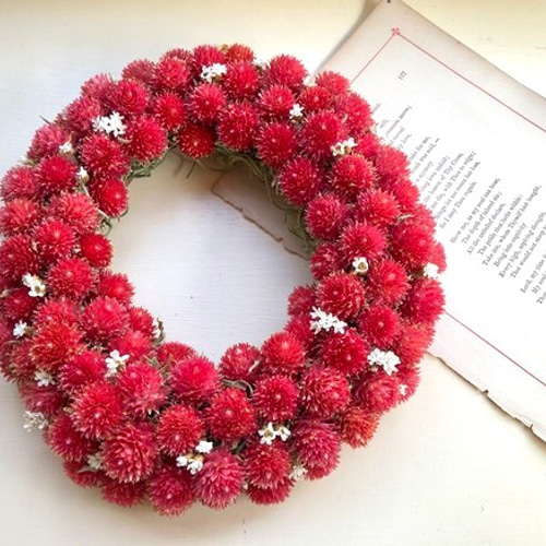 ＊Natural＊赤い千日紅とホワイトリース＊ドライフラワーリース 即日☆【ドライ】千日紅 ホワイト 約45g入り/DN000008-001 - 花材通販