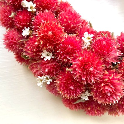 千日紅リース wd-pkmina_1.jpg