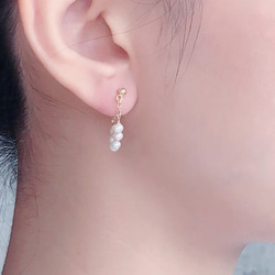 【Ding Ding】日本Akoya pearl天然珍珠14K耳環 第4張的照片