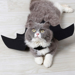 ハロウィン ペット コスチューム 犬 猫 用 コウモリの羽根 吸血鬼 コス 4枚目の画像