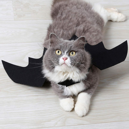 猫服 L 犬 ハロウィン 低かっ かわいい 黒 犬服