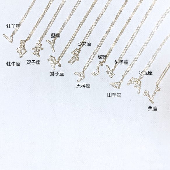 12星座・牡牛座のネックレス【Constellations necklace -Taurus-】 11枚目の画像