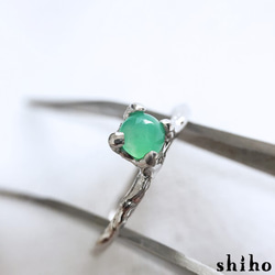 クリソプレーズのリング【Melty ring＜Chrysoprase＞】 2枚目の画像