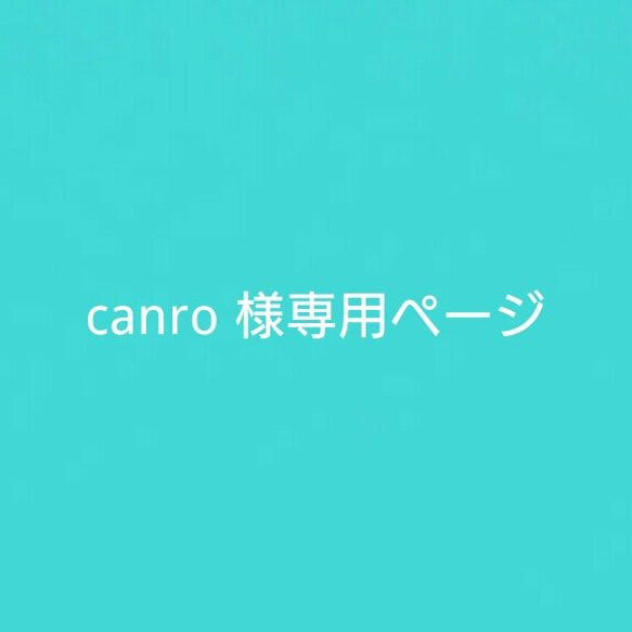 canro 様専用ページ 1枚目の画像