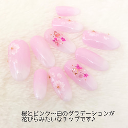 ネイルチップ★blanche★桜ネイル 3枚目の画像