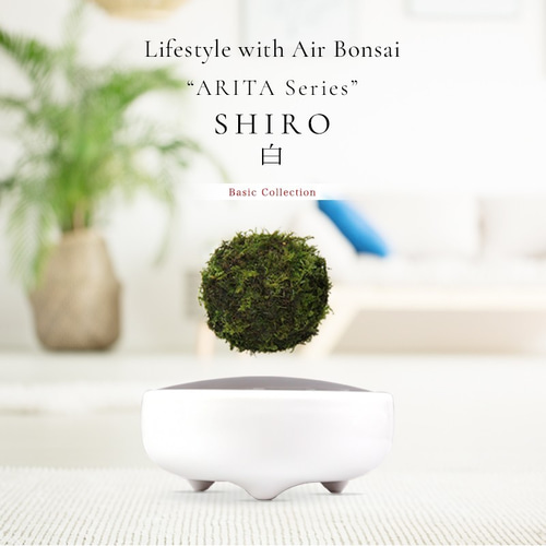 星人 空中盆栽 air bonsai 白 ラピュタかよっ！空中浮遊する盆栽「Air