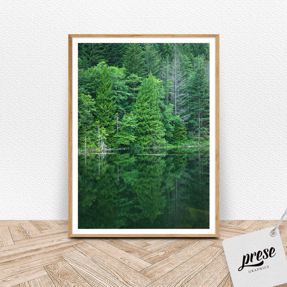 針葉樹林と湖、カナダ、ブローム湖  フォレストグリーン ポスター 1枚目の画像