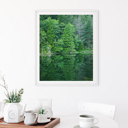 針葉樹林と湖、カナダ、ブローム湖  フォレストグリーン ポスター 4枚目の画像