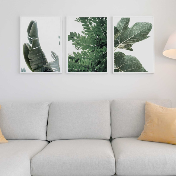 バナナの葉、ボタニカル・ガーデン 4枚目の画像