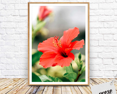 ☘️ マウスパッド トロピカル ハイビスカス ハワイ ハワイアンデスクマット、トロピカルデスクパッド、ハイビスカス