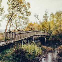 e594 静かな秋の気配とアメリカの古い橋 5枚目の画像