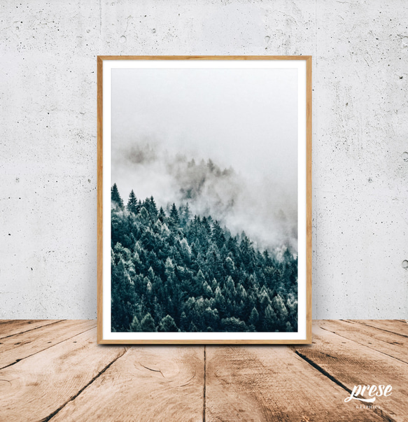 ｘｘｘ フォレスト、霧と山肌の針葉樹林、森のポスター 1枚目の画像