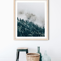 ｘｘｘ フォレスト、霧と山肌の針葉樹林、森のポスター 3枚目の画像