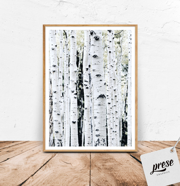 北欧スタイル 白樺の森の模様：穏やかな自然の美しさを捉えたモダンボタニカルアート 1枚目の画像