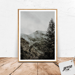 針葉樹林、霧が明けるフォレスト モノトーン ポスター 白黒 1枚目の画像