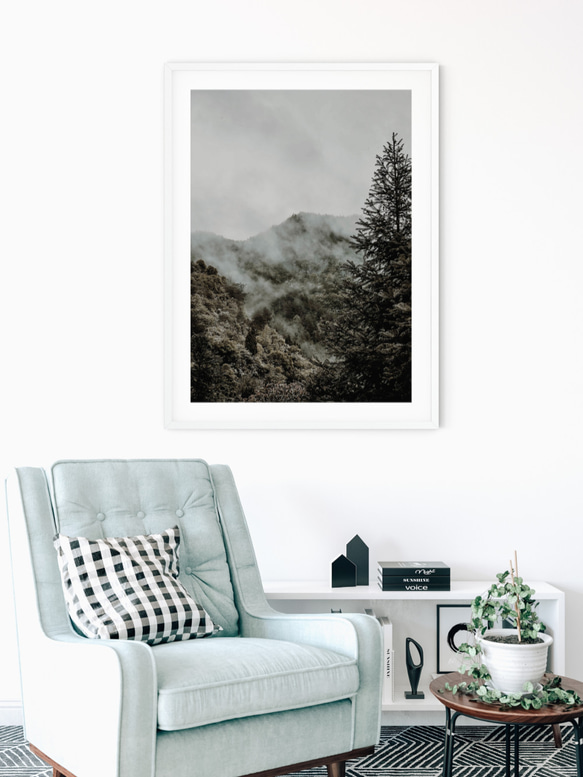 針葉樹林、霧が明けるフォレスト モノトーン ポスター 白黒 3枚目の画像