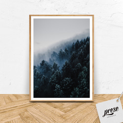 山肌に霧が煙るパインツリーの森、 フォレストグリーン ポスター 1枚目の画像