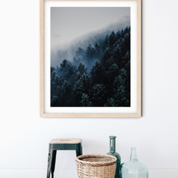山肌に霧が煙るパインツリーの森、 フォレストグリーン ポスター 2枚目の画像