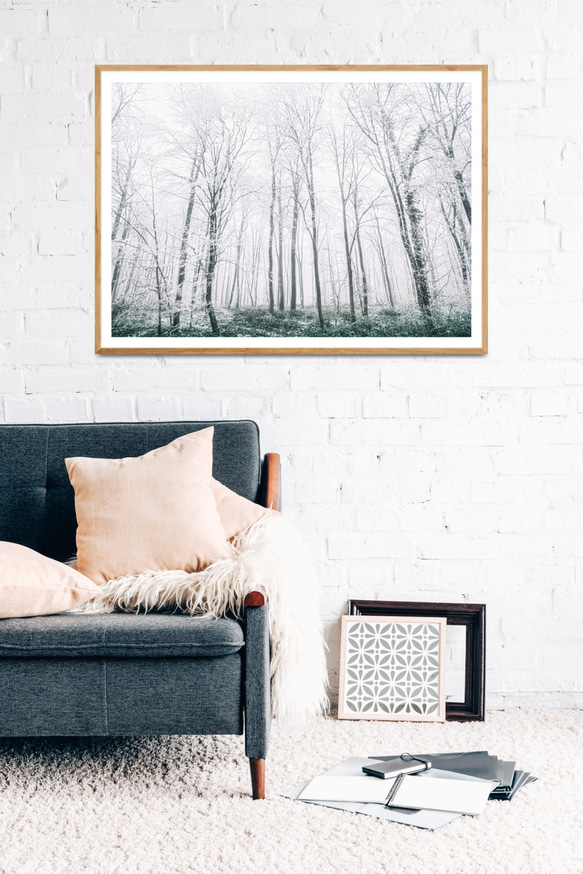 心が落ち着く冬の白い広葉樹、フォレストポスター 2枚目の画像