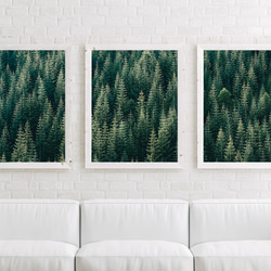針葉樹の屏風のようなフォレストポスター 3枚セット 2枚目の画像