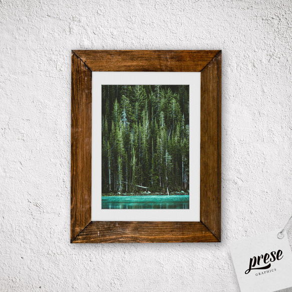 フォレスト、北米のグリーンが美しい針葉樹の森と湖（縦版） 2枚目の画像