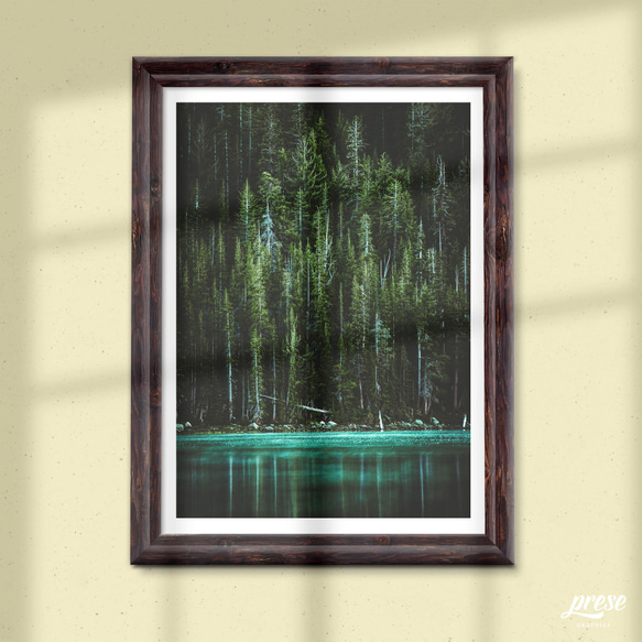 フォレスト、北米のグリーンが美しい針葉樹の森と湖（縦版） 3枚目の画像
