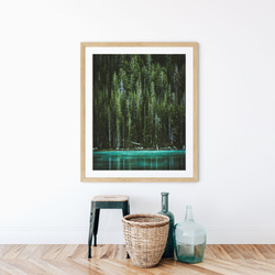フォレスト、北米のグリーンが美しい針葉樹の森と湖（縦版） 4枚目の画像