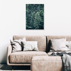 森の一部を切り取った美しい針葉樹コニファー フォレストグリーン ポスター 5枚目の画像