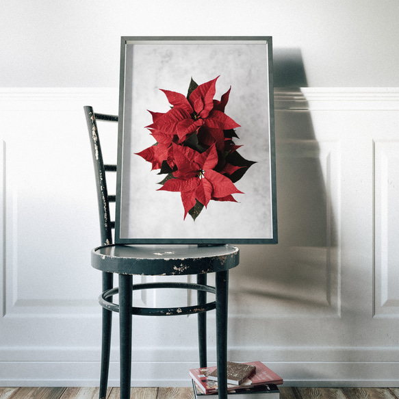 鮮やかな赤のポインセチア：冬のクリスマスエレガンスを演出するアートワークのポスター 3枚目の画像