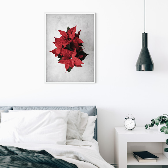 鮮やかな赤のポインセチア：冬のクリスマスエレガンスを演出するアートワークのポスター 4枚目の画像