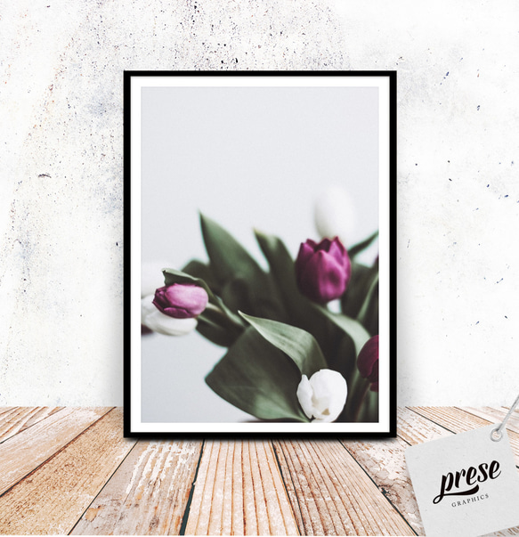 チュ－リップ モノクロ原画 チュ－リップ モノクロ原画 チュ－リップ モノクロ原画 チューリップの