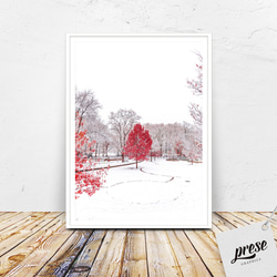 セントラルパークの赤い冬、ニューヨーク 雪 クリスマスツリー 1枚目の画像