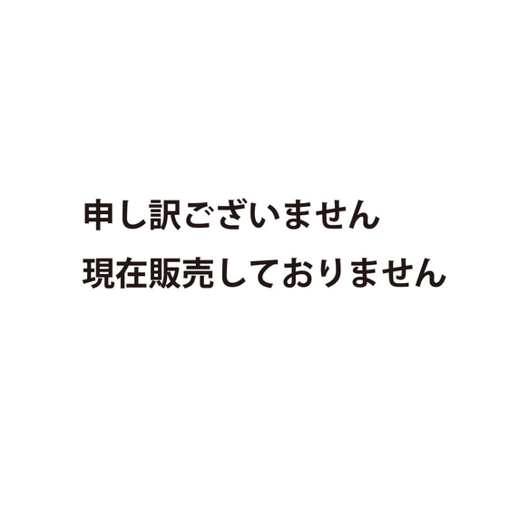 現在販売しておりません 1枚目の画像