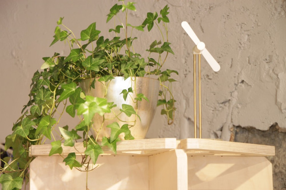 Javasparrowの扇風機 5枚目の画像