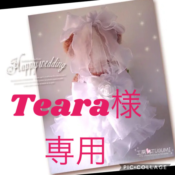 Teara様専用です。 1枚目の画像