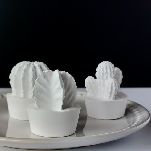 アロマストーンモンステラ&サボテンセット アロマストーンモンステラ&サボテンセット