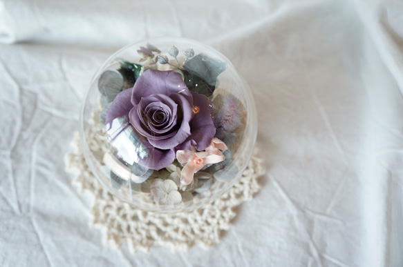 嫣紫 永生花玻璃罩 免費客製 畢業禮物 情人節禮物 生日禮物 第1張的照片