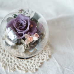 嫣紫 永生花玻璃罩 免費客製 畢業禮物 情人節禮物 生日禮物 第2張的照片