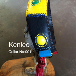 首輪:Kenleo starシリーズ/Mサイズ:No.001 6枚目の画像